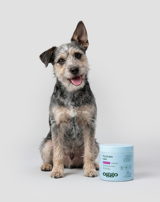 Fur & Skin Supplement Complementary Feed for Dogs for Beautiful Coat and Healthy Skin Oggo 180 g - 2