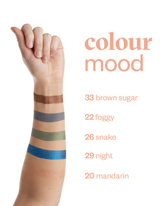 Mattifying Eyeshadow Colour Mood in Milky Chocolate Shade 24 Praline Paese