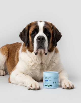 Joint & Bone Support Complementary Feed for Dogs for Joints and Bones Oggo 180 g - 3