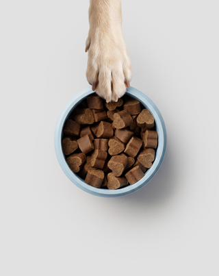 Joint & Bone Support Complementary Feed for Dogs for Joints and Bones Oggo 180 g - 5